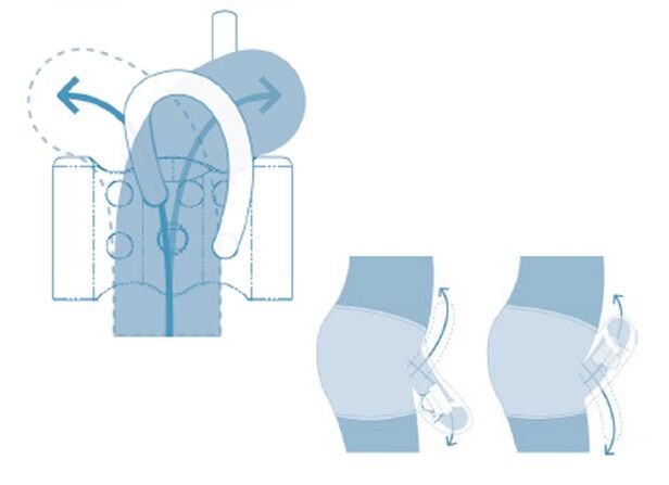 système reproducteur adolescent