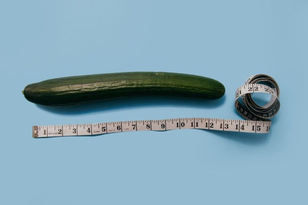 Mesure de la taille du pénis en utilisant l'exemple de concombre